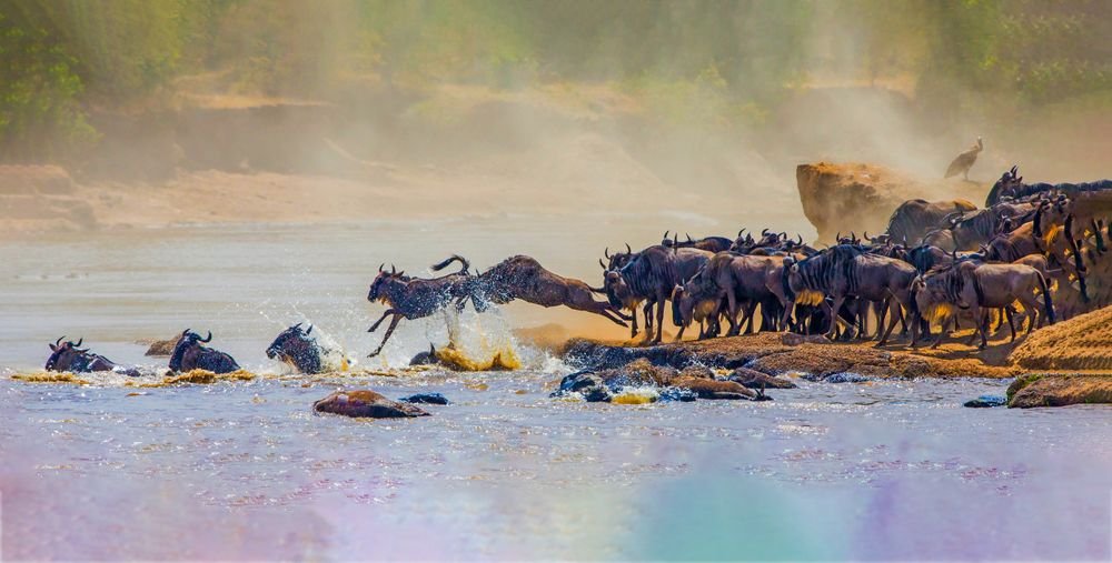 Authentic Tanzania Encounters