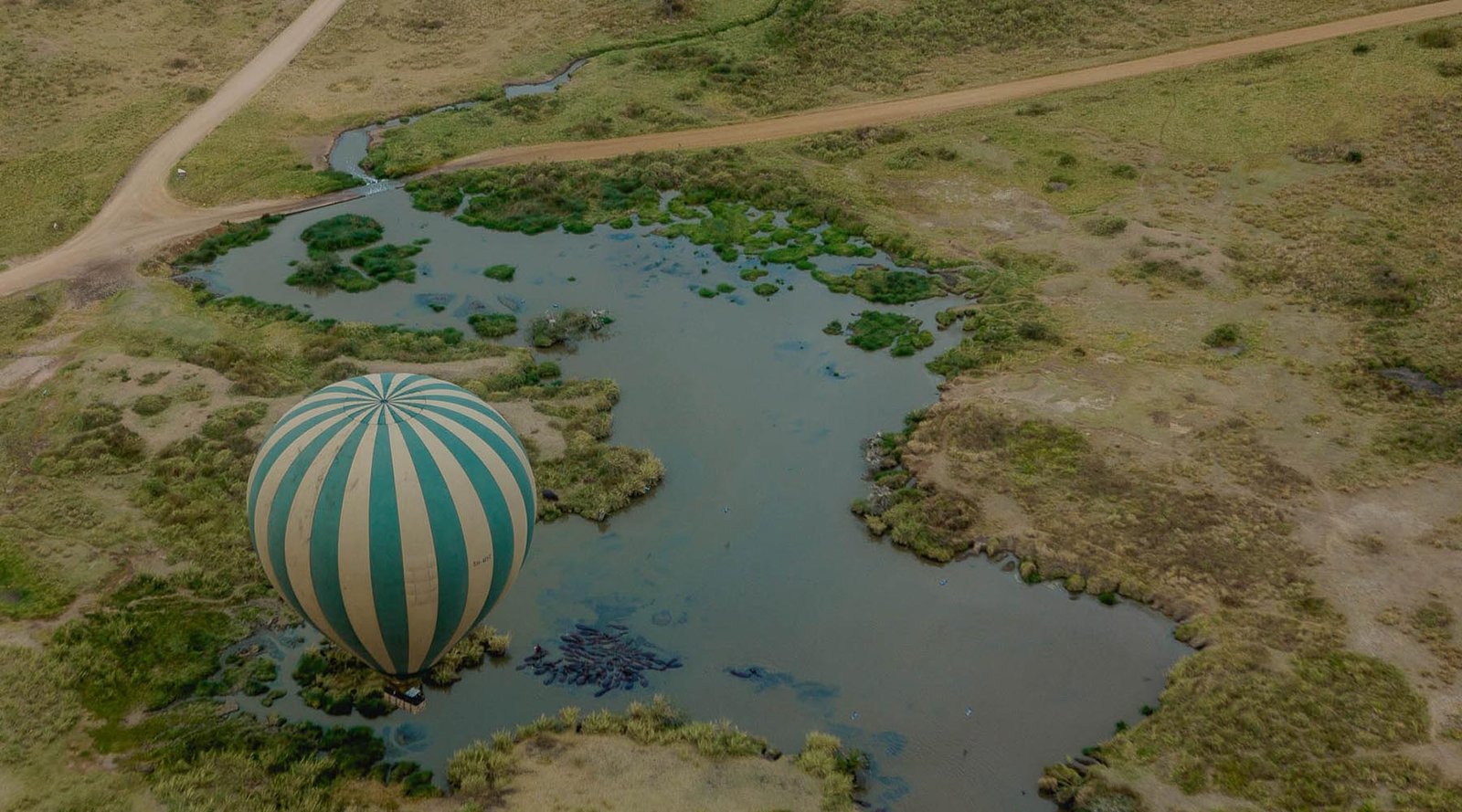 Tailor-made Tanzania safari