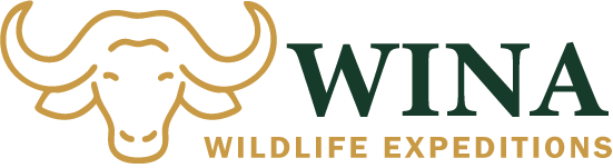 wina wildlife expeditions logo